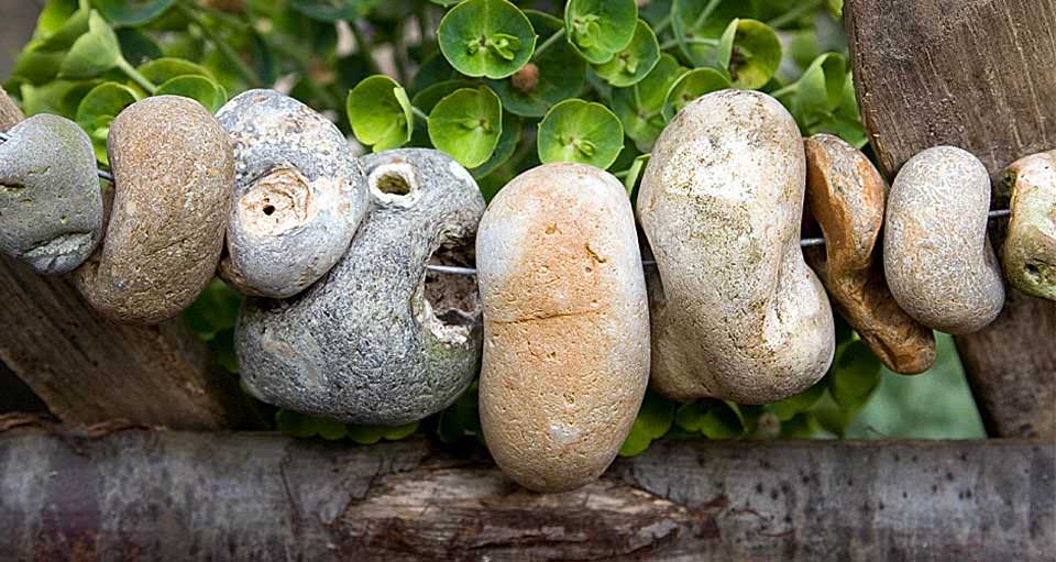 Chris O'Donoghues RHS Chelsea Flower Show medal winning garden Shinglesea