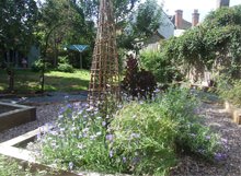 Appledore garden project