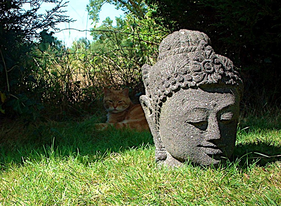 Benenden garden