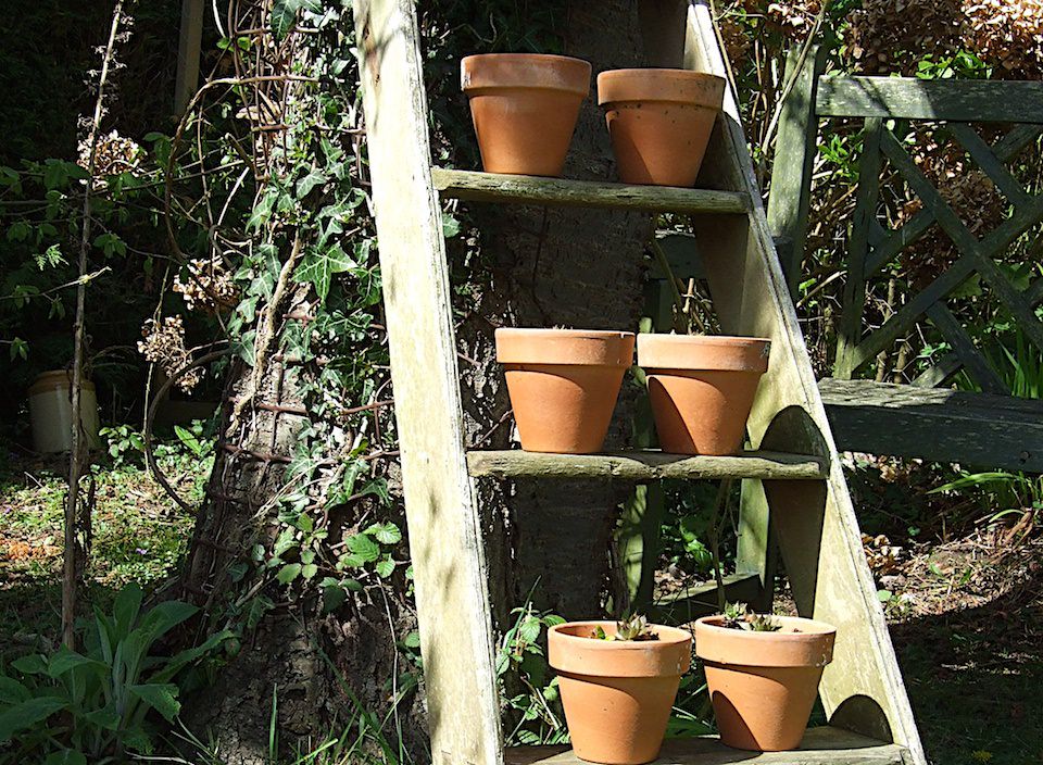 Benenden garden