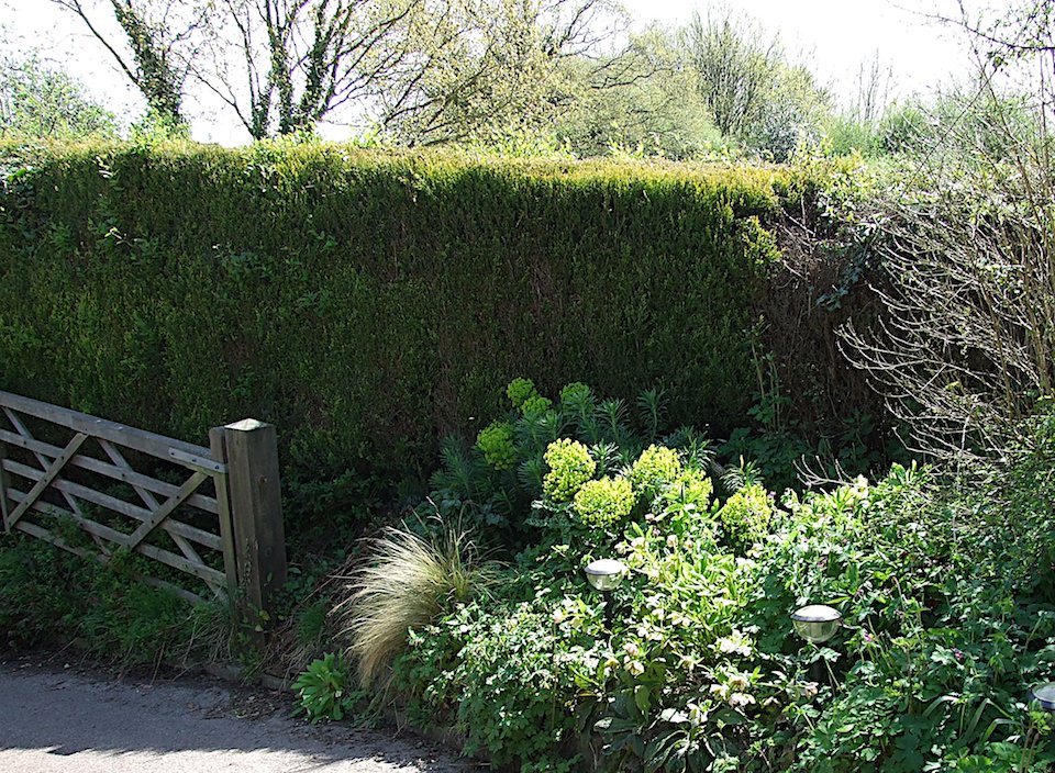 Benenden garden