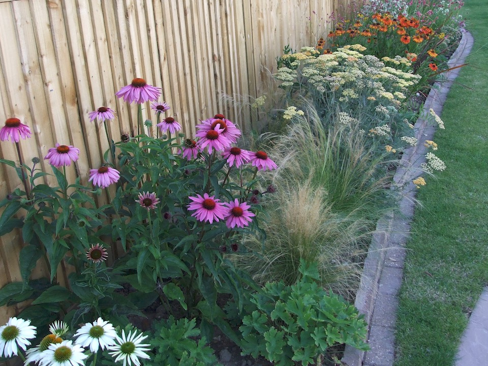 Bexhill garden