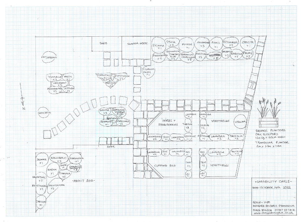 Bexhill town garden drawing