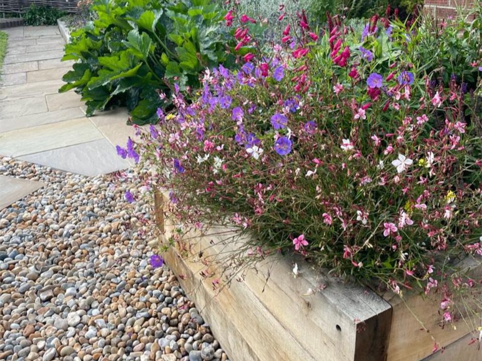 Bexhill town garden Raised bed
