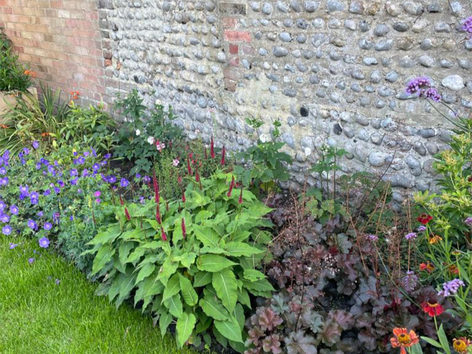 Bexhill town garden Flint wall