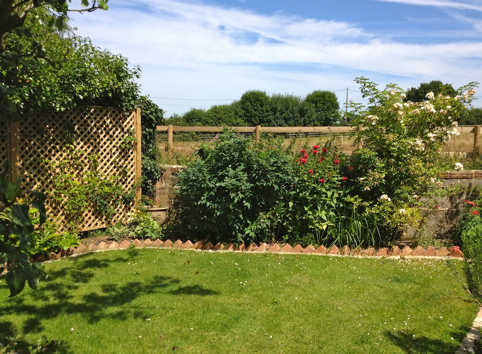 Brockenhurst rear garden