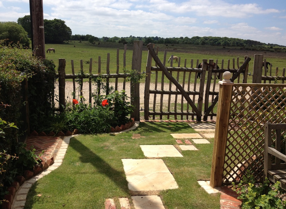 Brockenhurst garden looking out on the forest