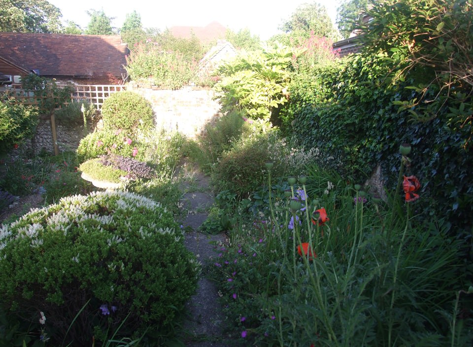 Ditchling garden