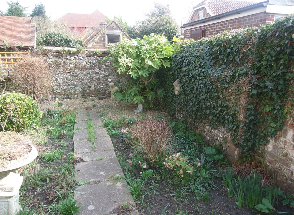 Ditchling garden