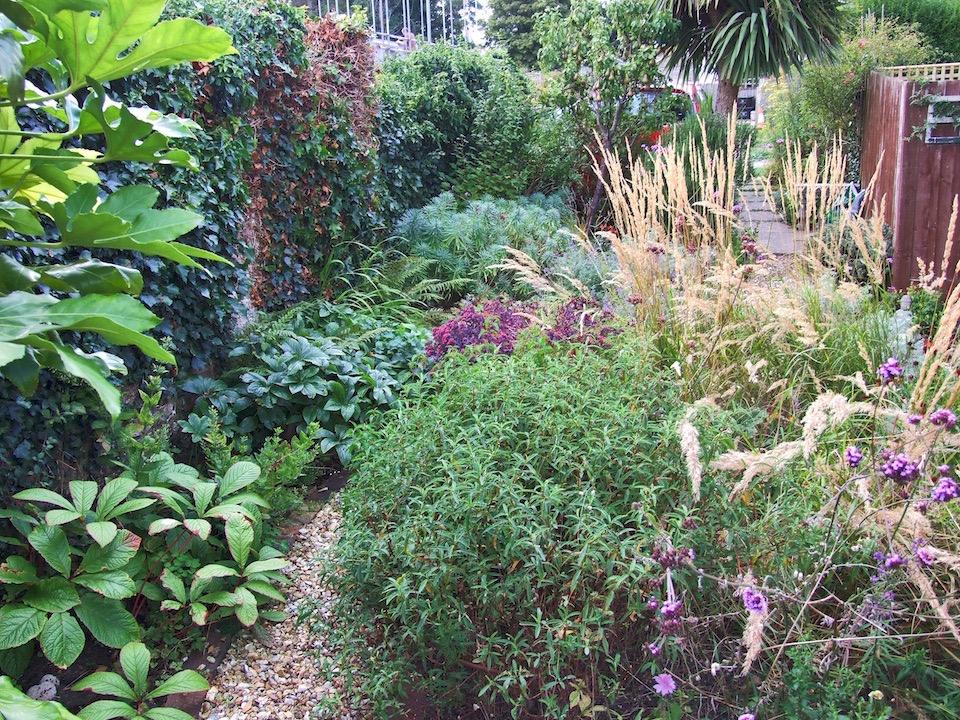 Ditchling garden