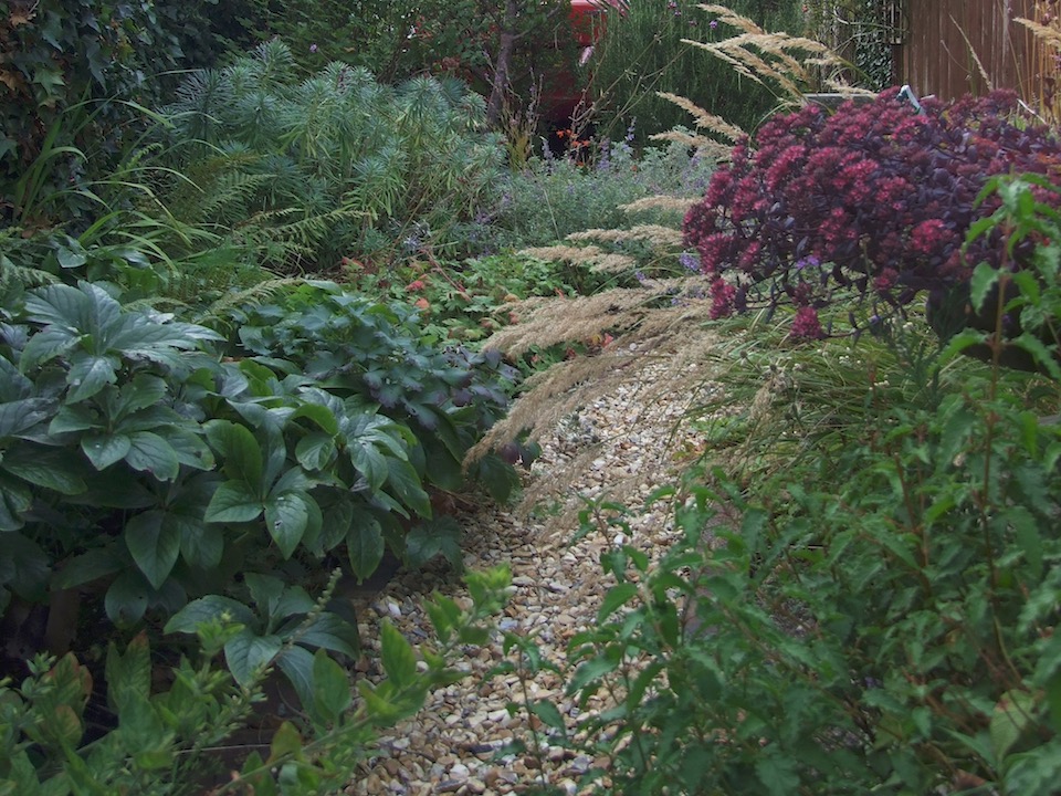 Ditchling garden