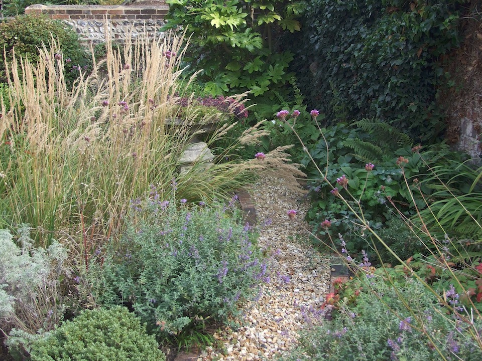 Ditchling garden