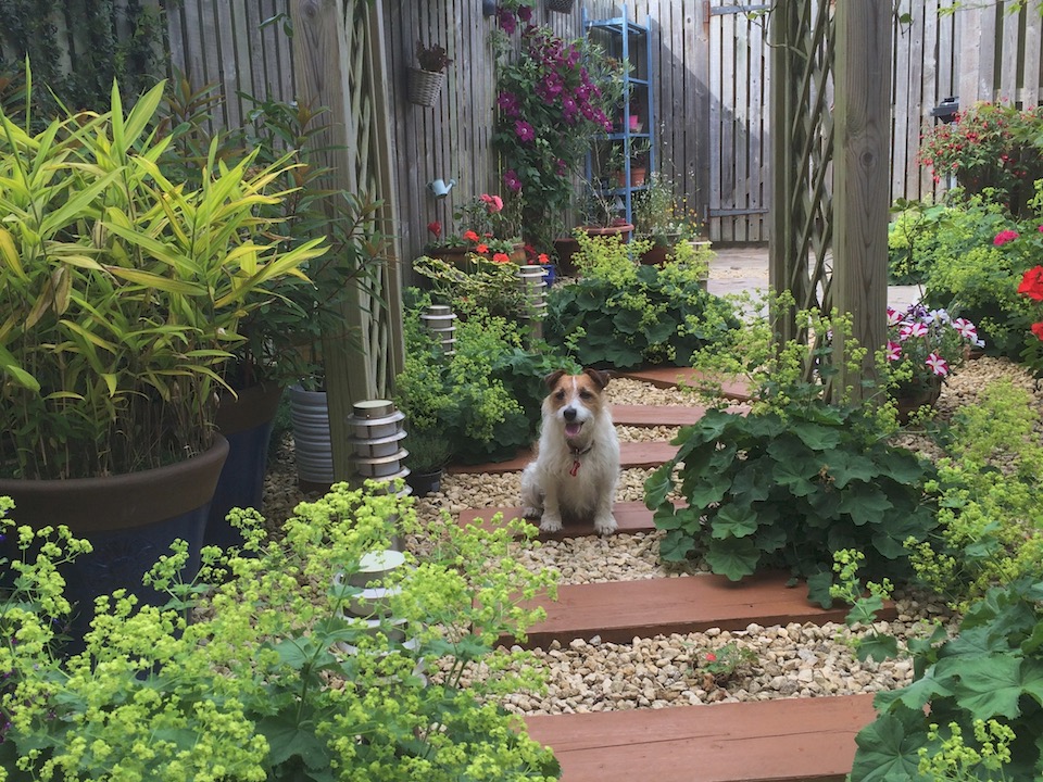 Chris O'Donoghues Seaside Garden Eastbourne