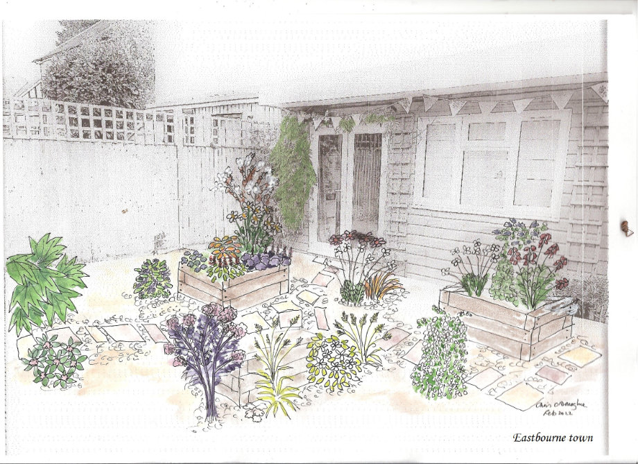 Eastbourne town garden drawing
