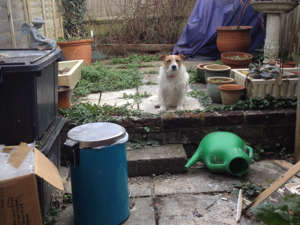 Elsie cottage courtyard before