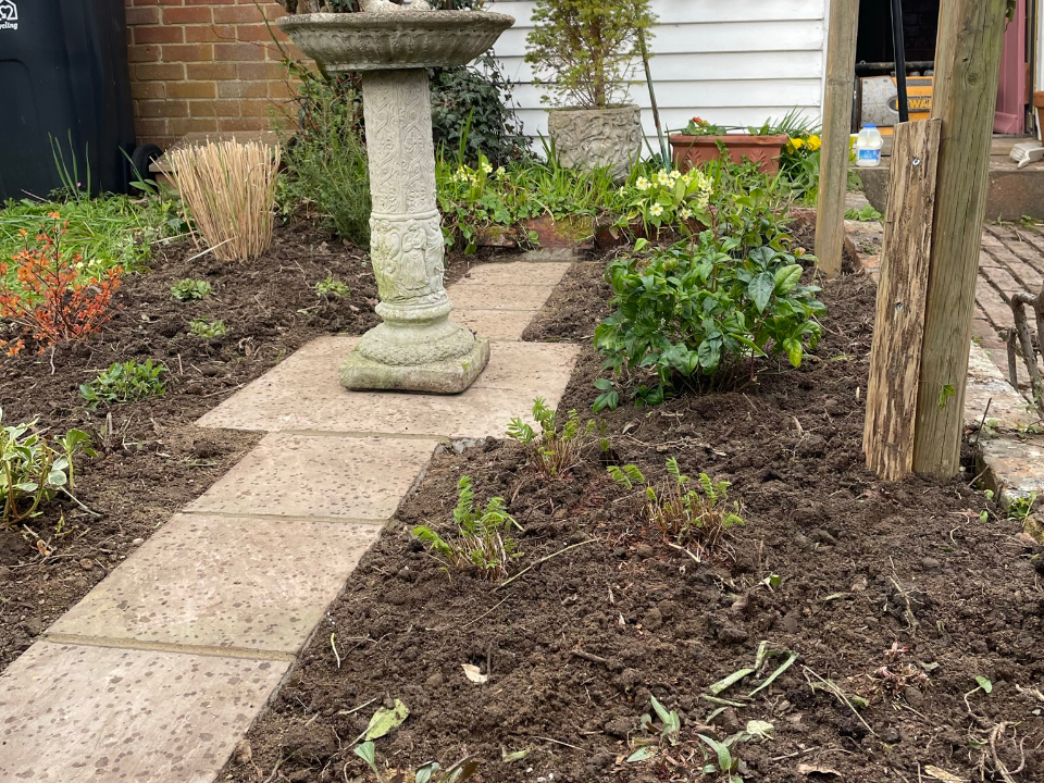 Elsie cottage front garden planted
