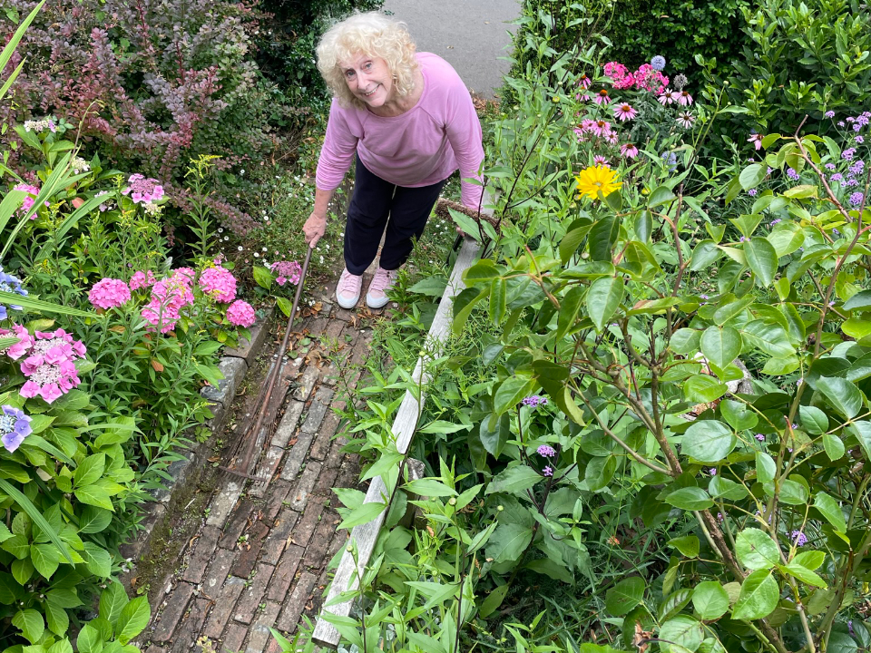 Elsie cottage plants established