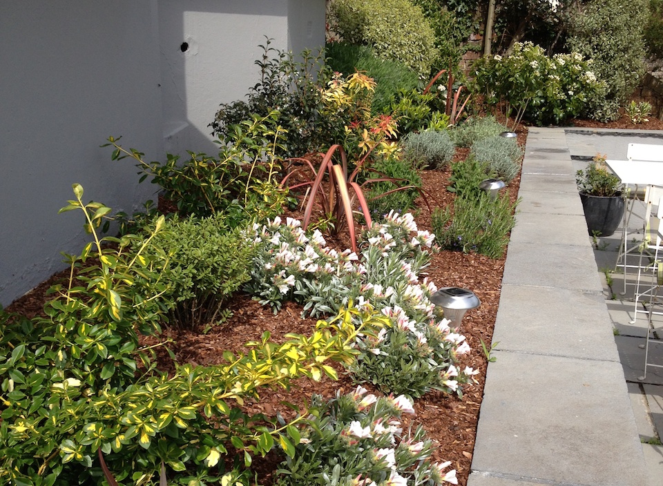 Hastings front garden beds