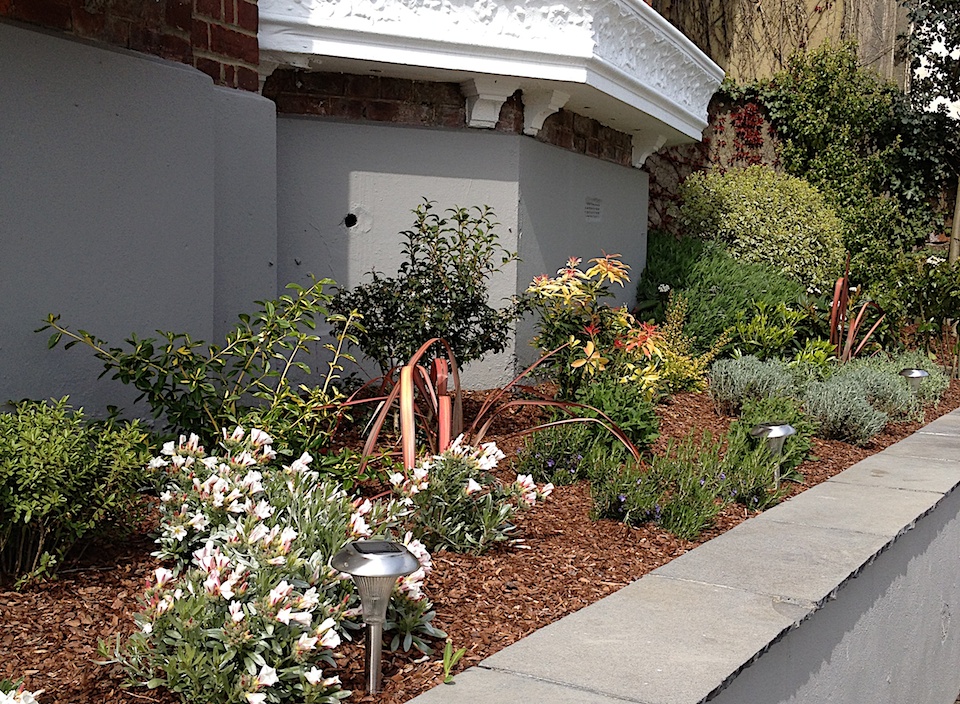 Hastings front garden beds
