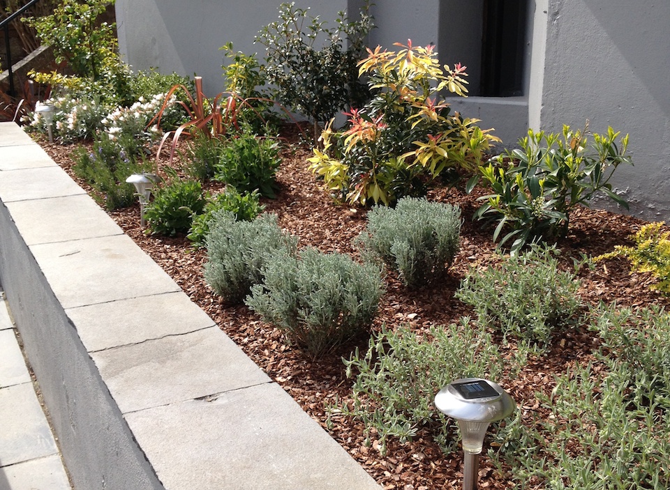Hastings front garden beds