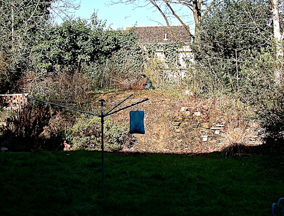 Haywards Heath garden