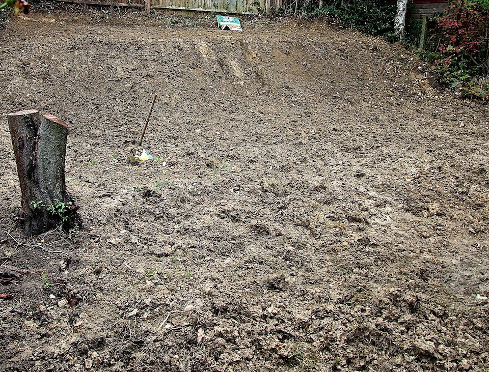 Haywards Heath garden