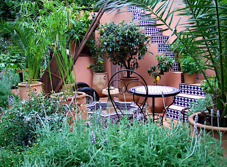 SPANA’s Courtyard Refuge garden