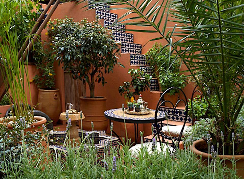 SPANA’s Courtyard Refuge garden