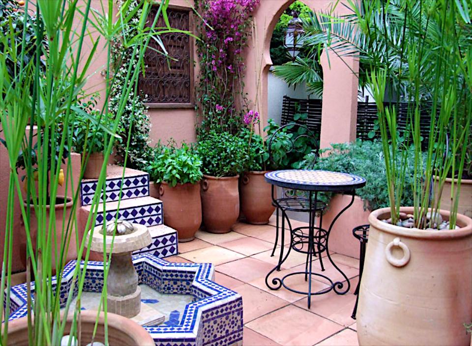 SPANA’s Courtyard Refuge garden