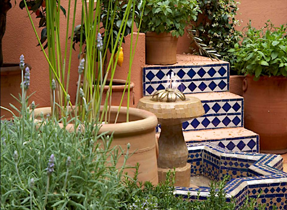 SPANA’s Courtyard Refuge garden