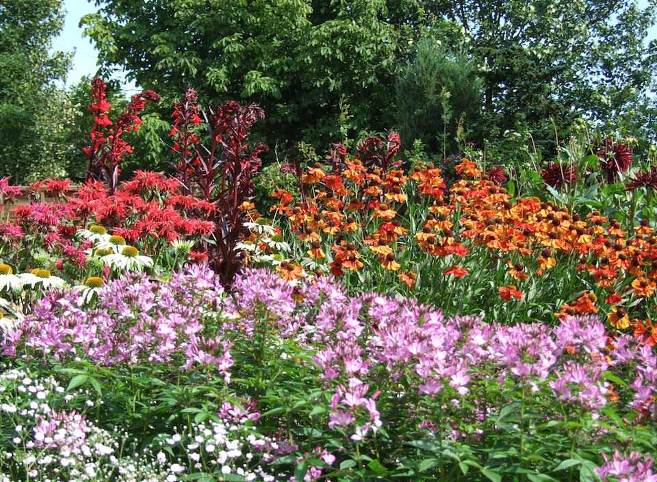 Chris O'Donoghues Romney Marsh Garden