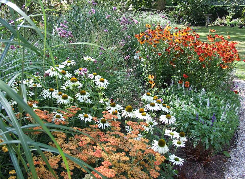 Chris O'Donoghues Romney Marsh Garden