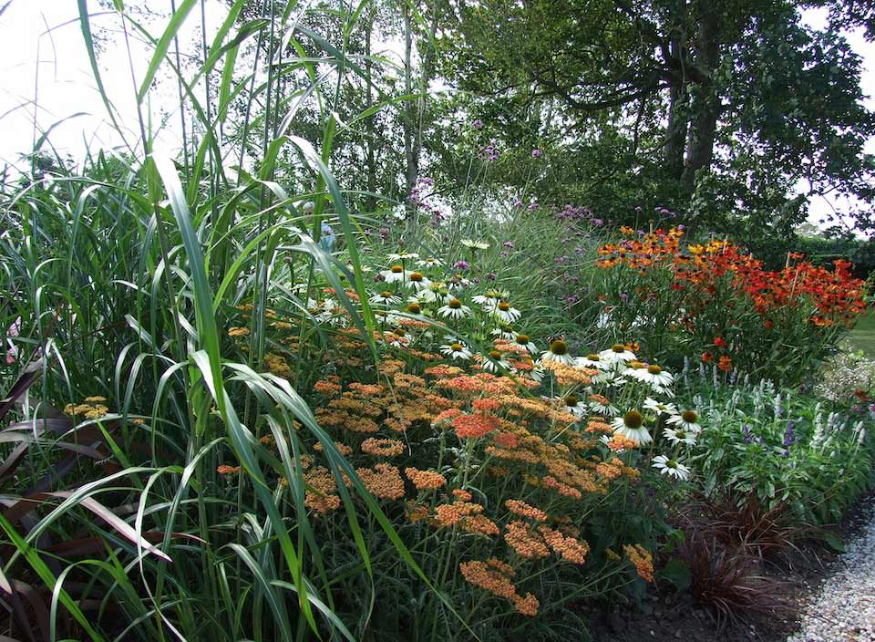 Chris O'Donoghues Romney Marsh Garden