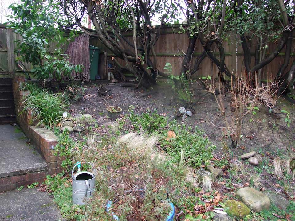 Tunbridge Wells garden