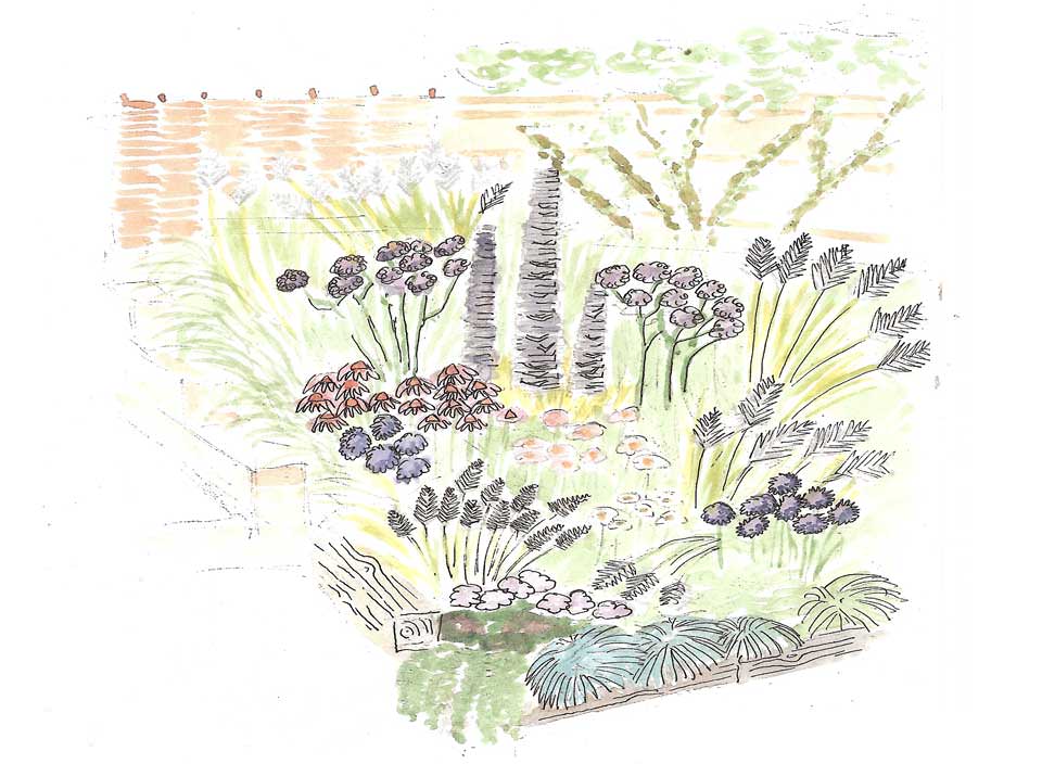 Tunbridge Wells garden