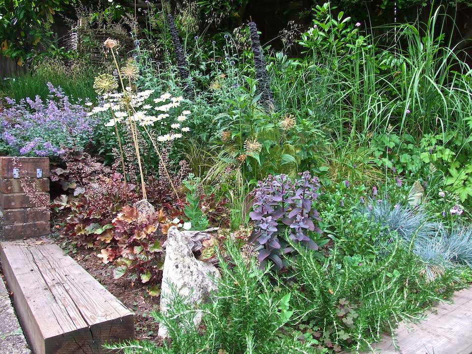 Tunbridge Wells garden