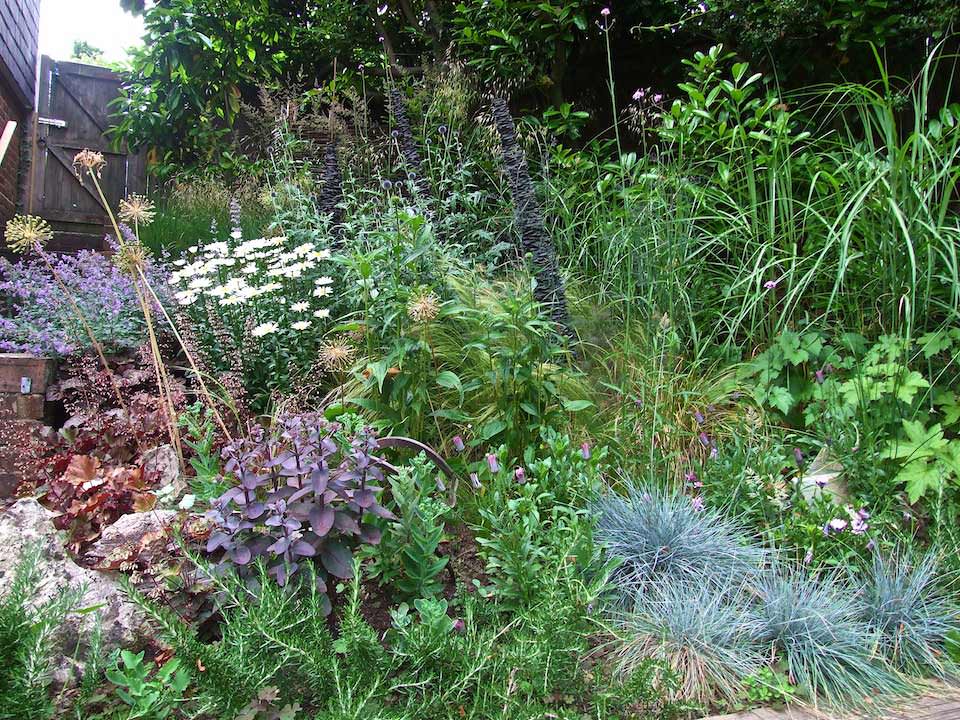 Tunbridge Wells garden