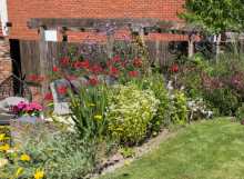 Tunbridge Wells garden project
