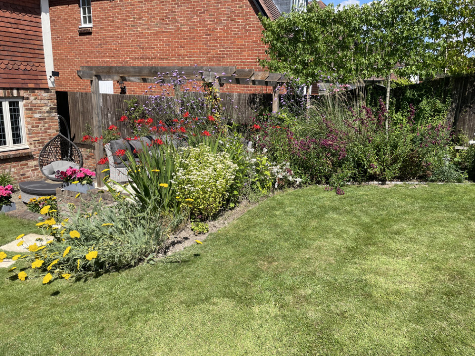Tunbridge Wells garden weathered pergola