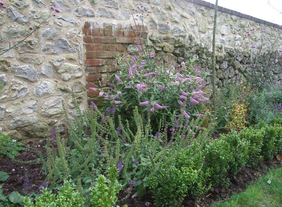 Westwell garden
