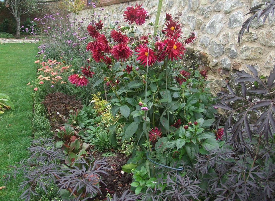 Westwell garden
