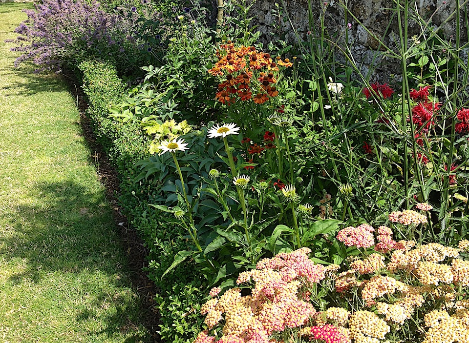 Westwell garden Long border mid summer