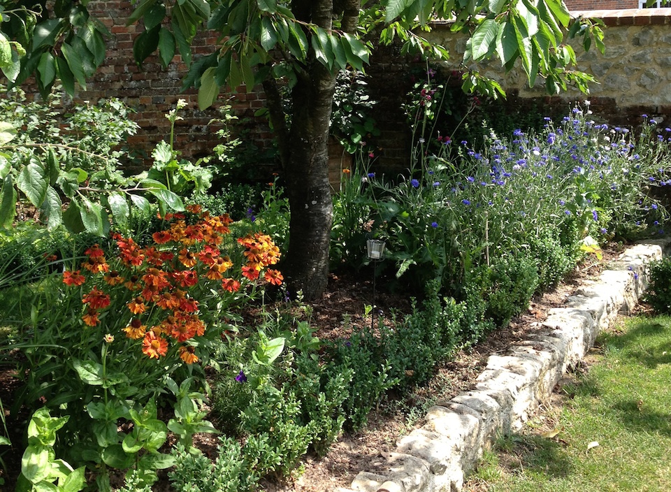 Westwell garden Sunny front bed