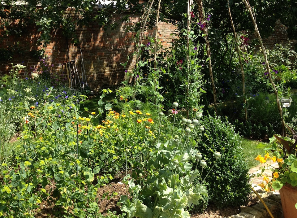 Westwell garden Redorange bed and arch