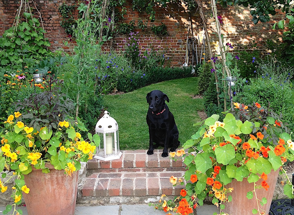 Westwell garden Fruit garden entrance